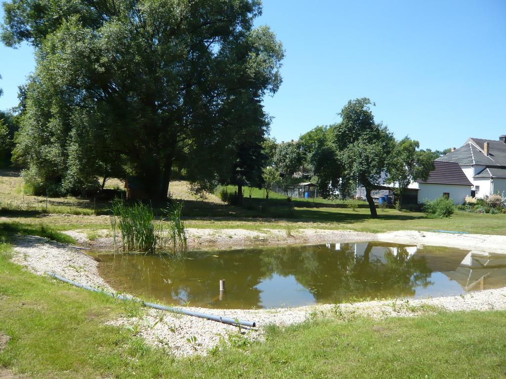Pension Zum Hirsch Göda Habitación foto
